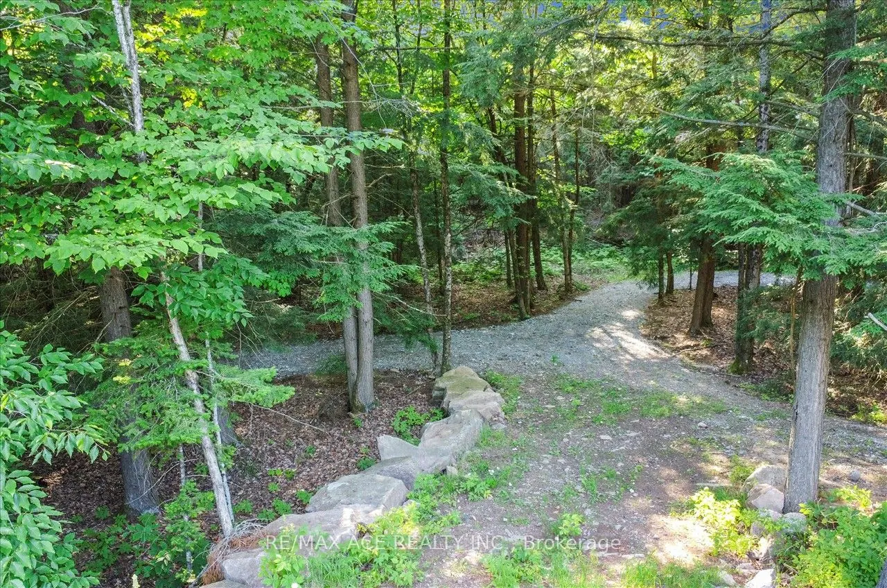111 Gazelle Trail