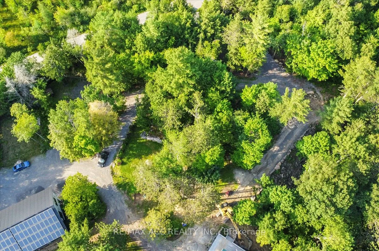 111 Gazelle Trail