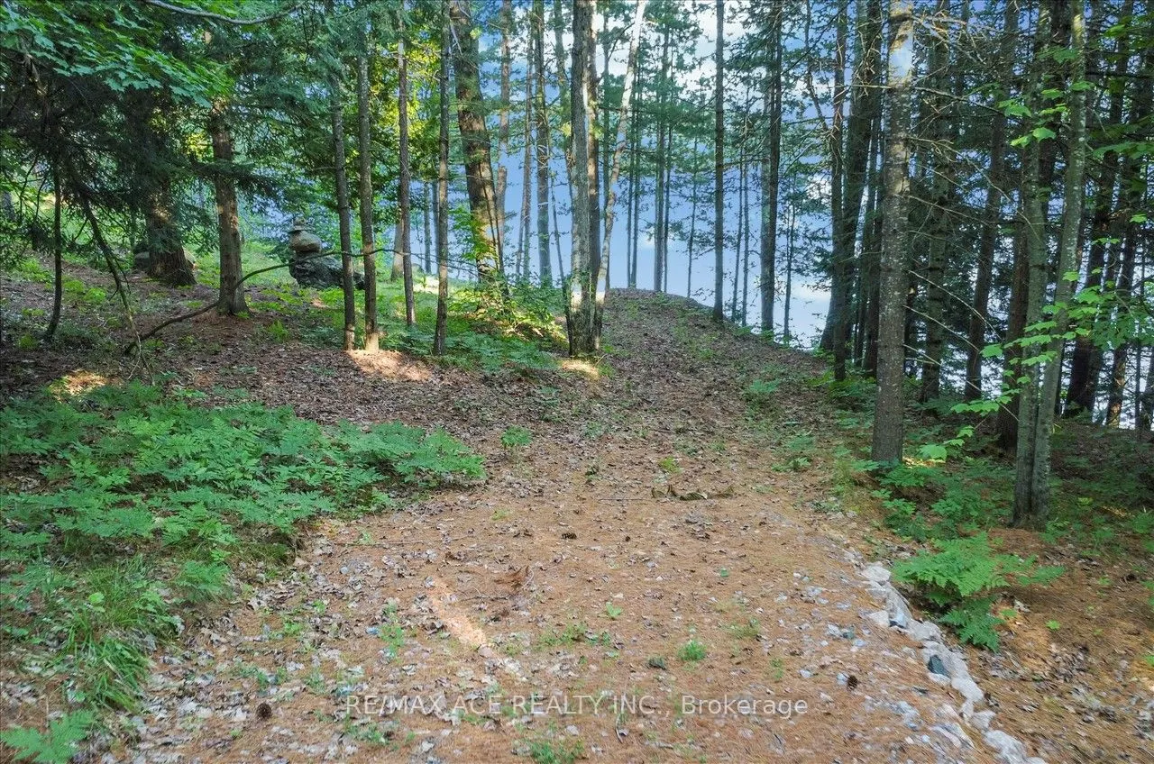 111 Gazelle Trail
