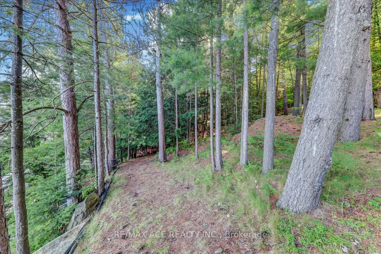 111 Gazelle Trail