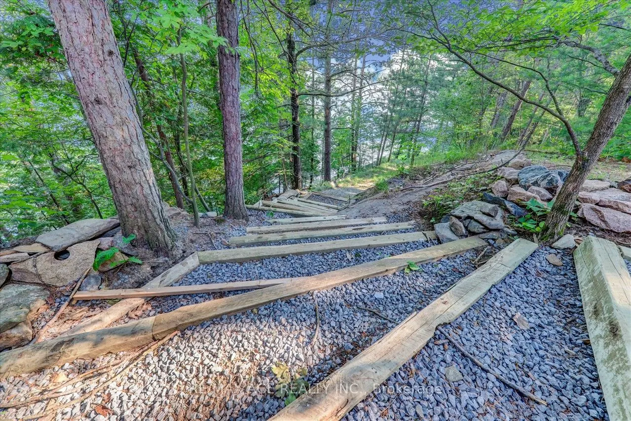 111 Gazelle Trail