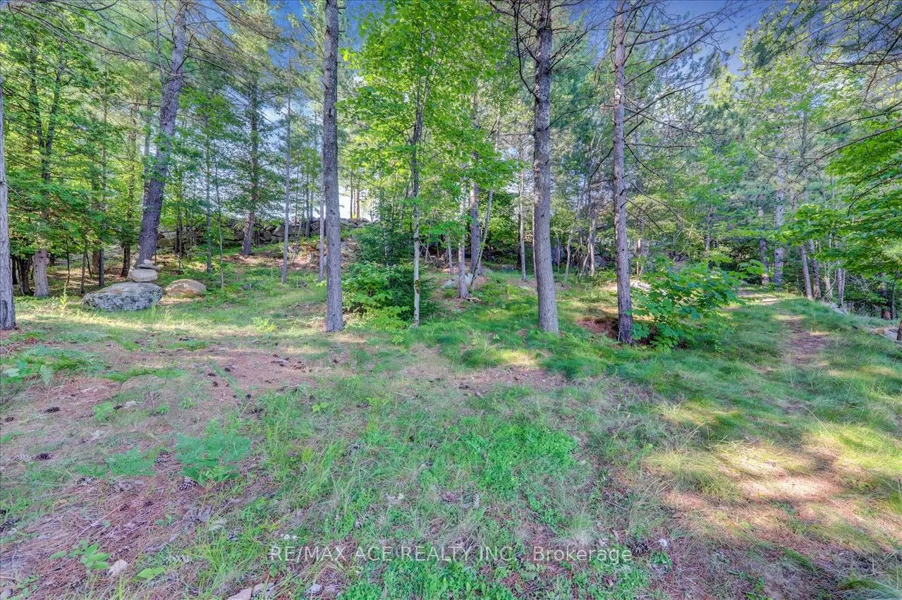 119 Gazelle Trail