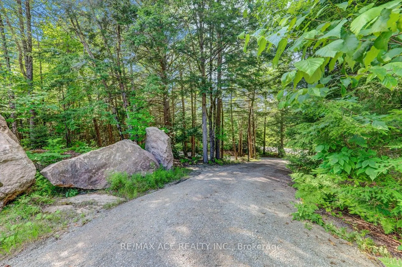 119 Gazelle Trail