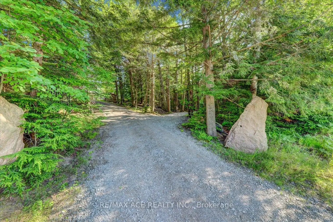 119 Gazelle Trail
