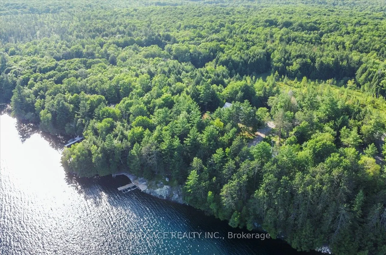 119 Gazelle Trail