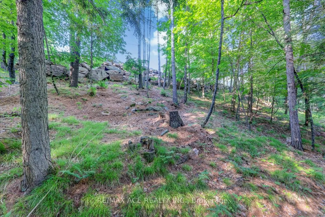 111 & 119 Gazelle Trail