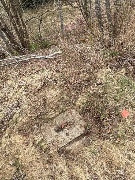 1014 BULRUSH Trail