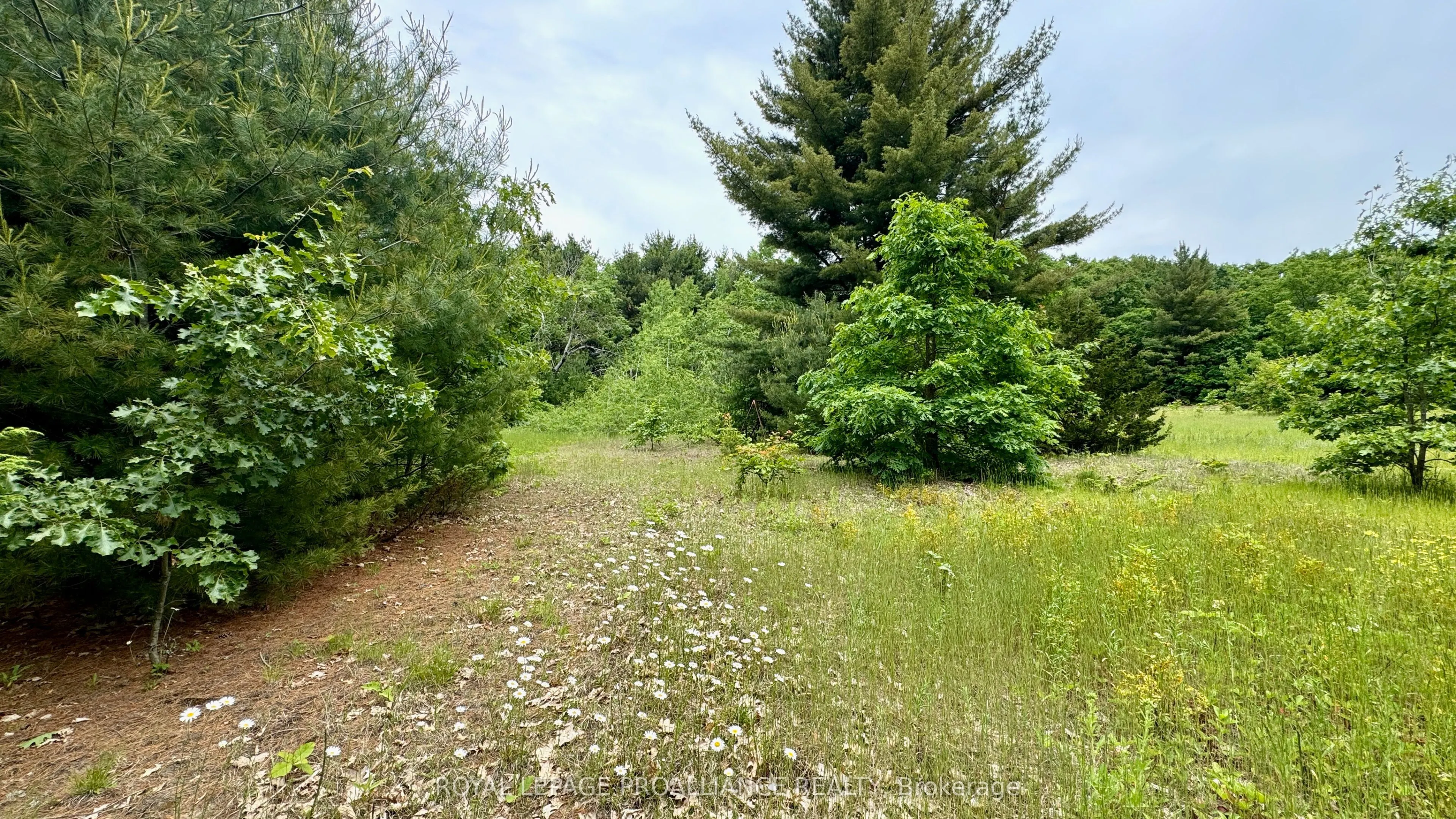 207 Middle Ridge Road