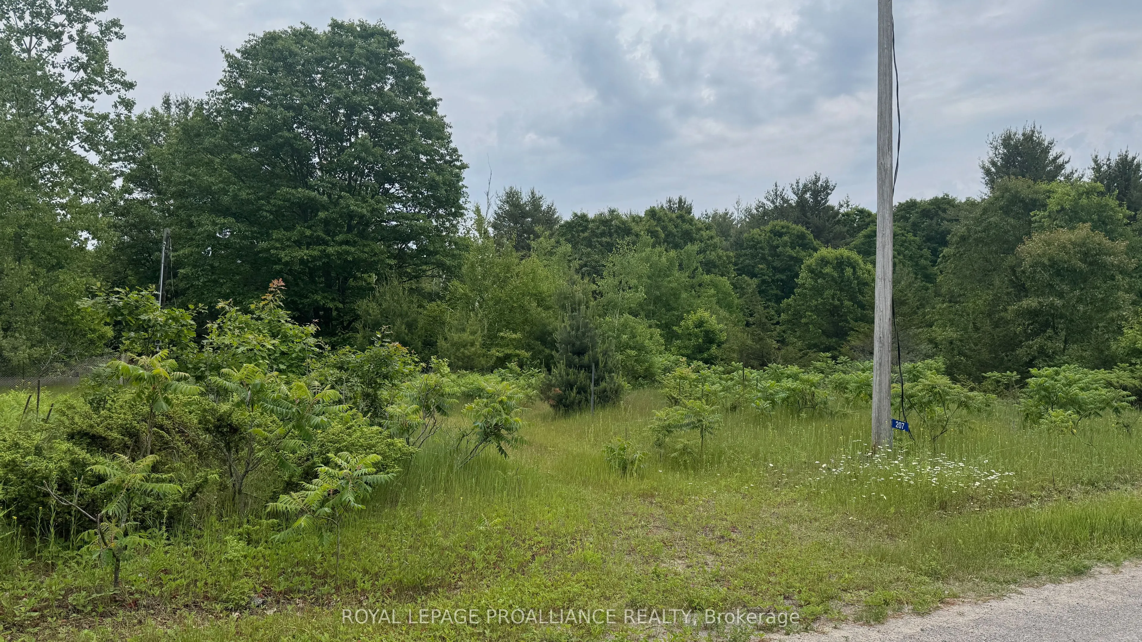 207 Middle Ridge Road