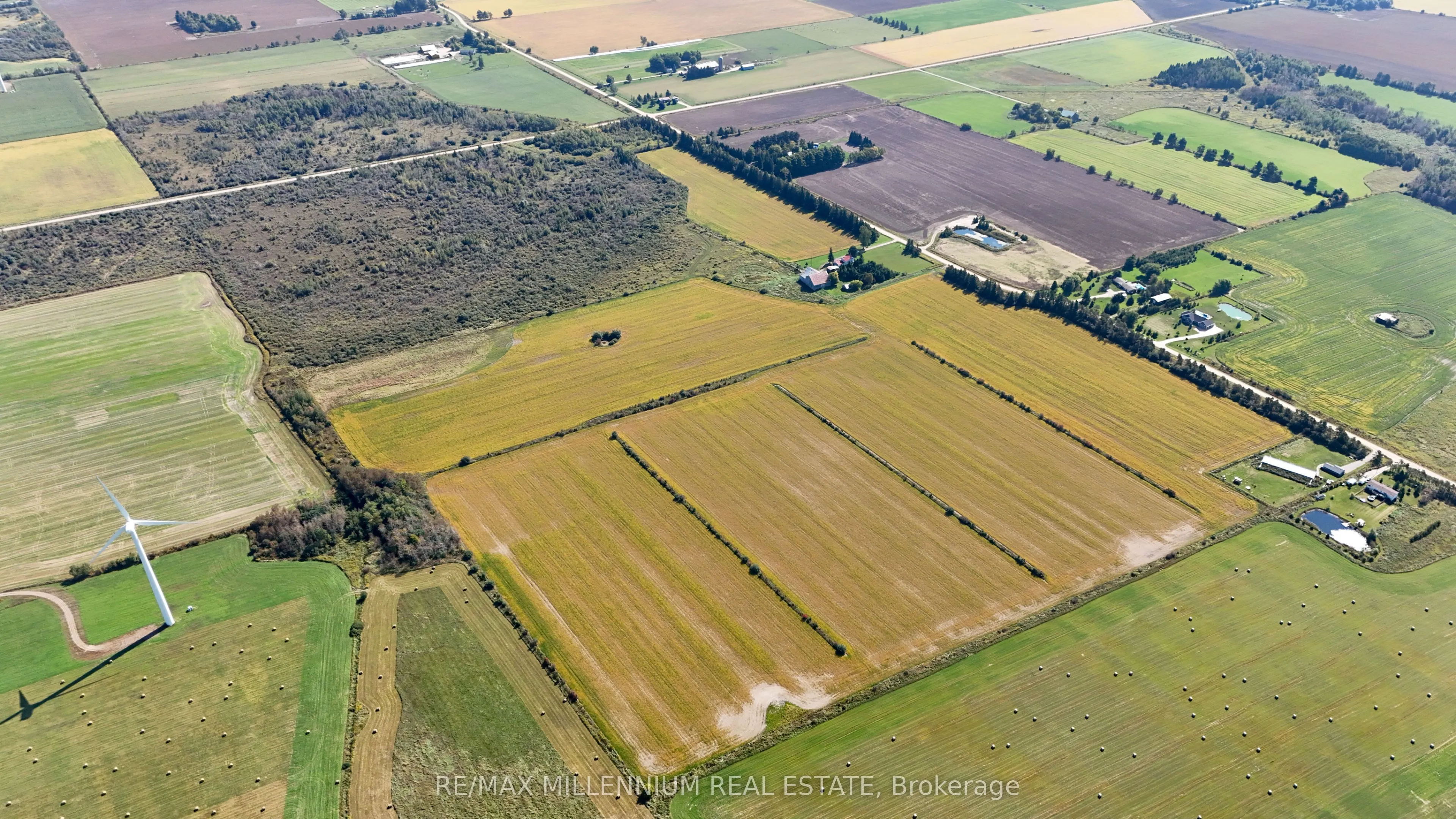 25 Side Road, #423365