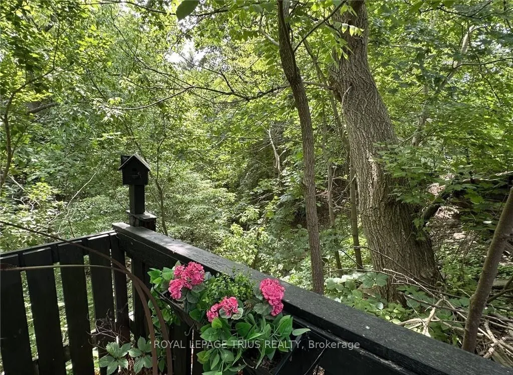 78 Queensway Drive E