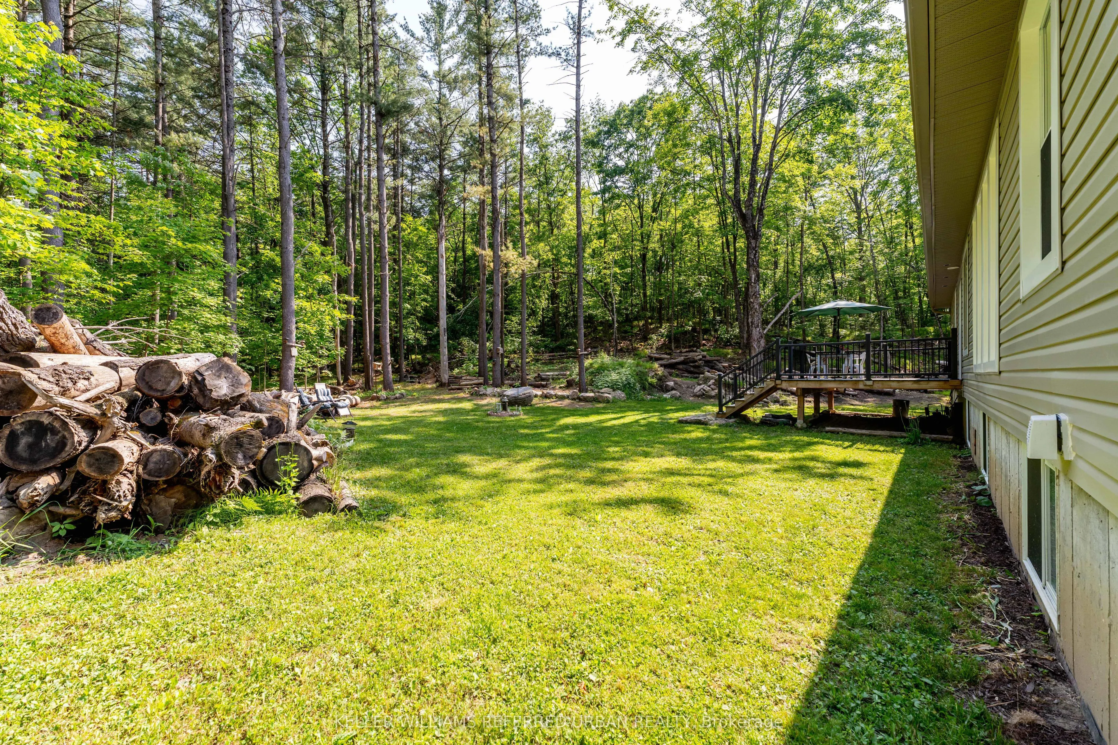 51 Pine Grove Road