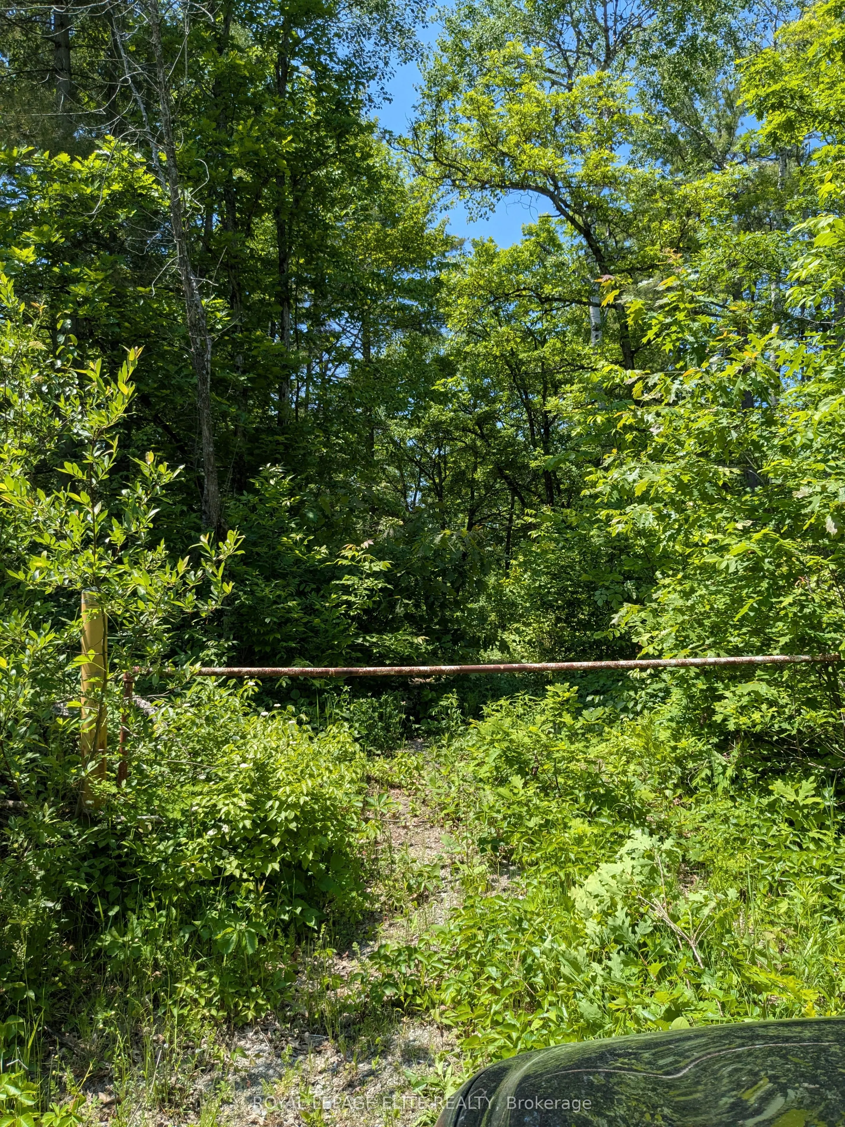 559 HONEY HARBOUR Road