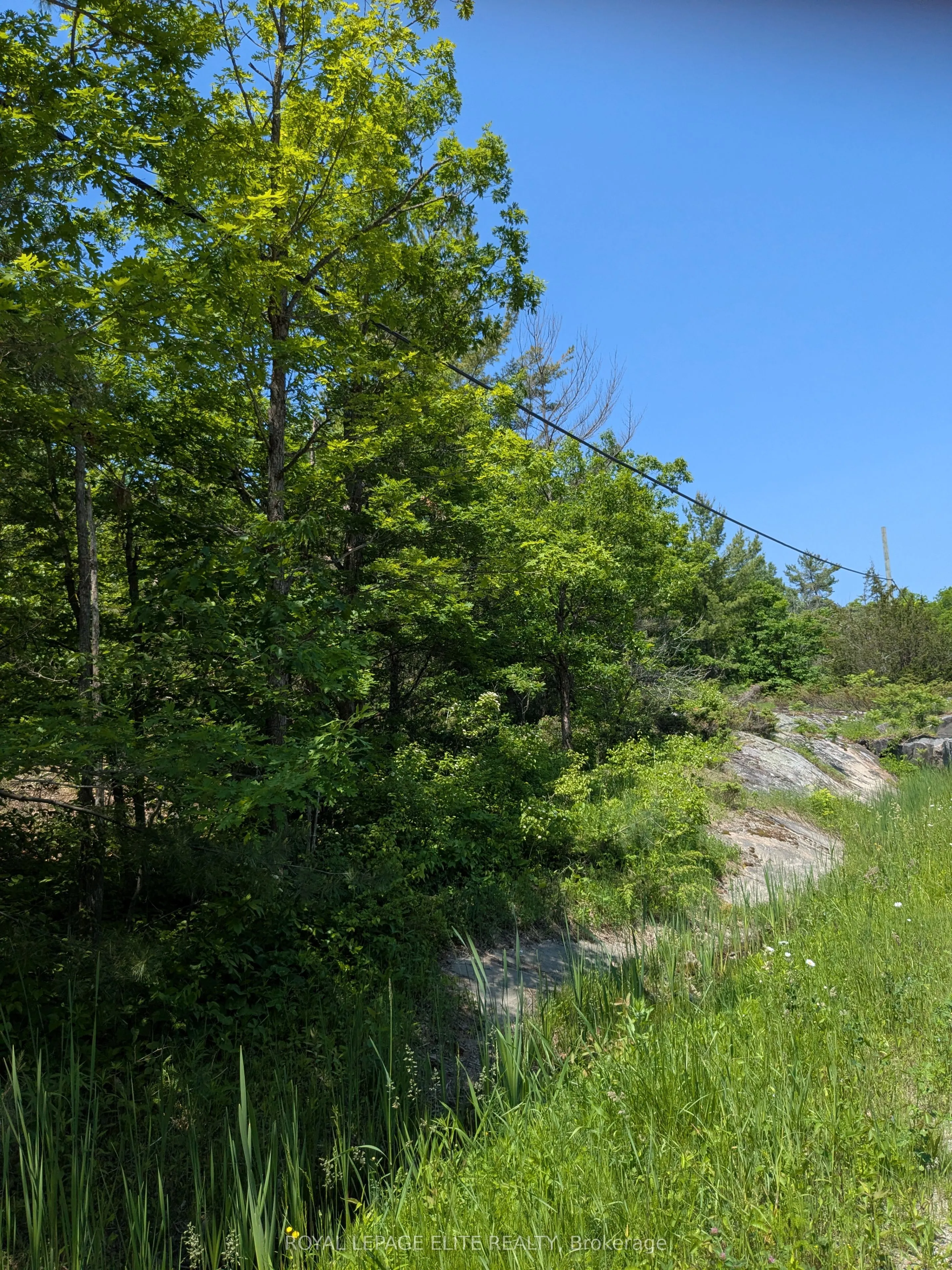 559 HONEY HARBOUR Road