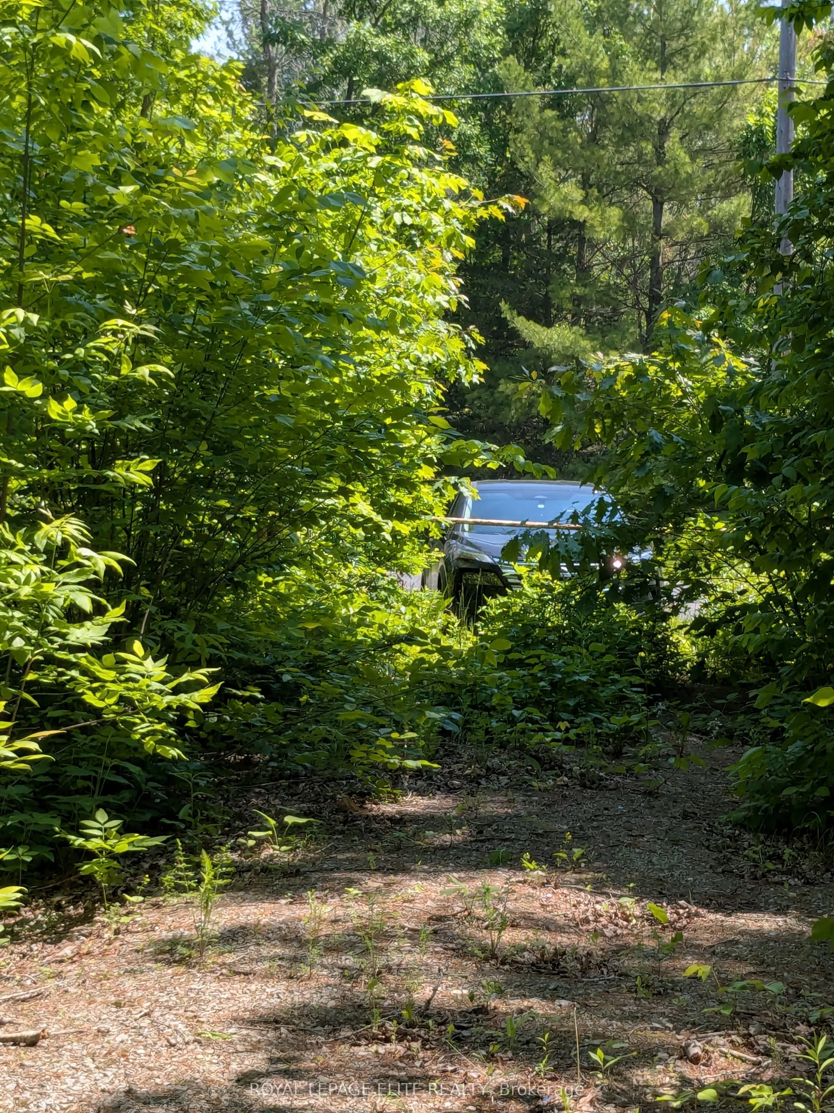 559 HONEY HARBOUR Road