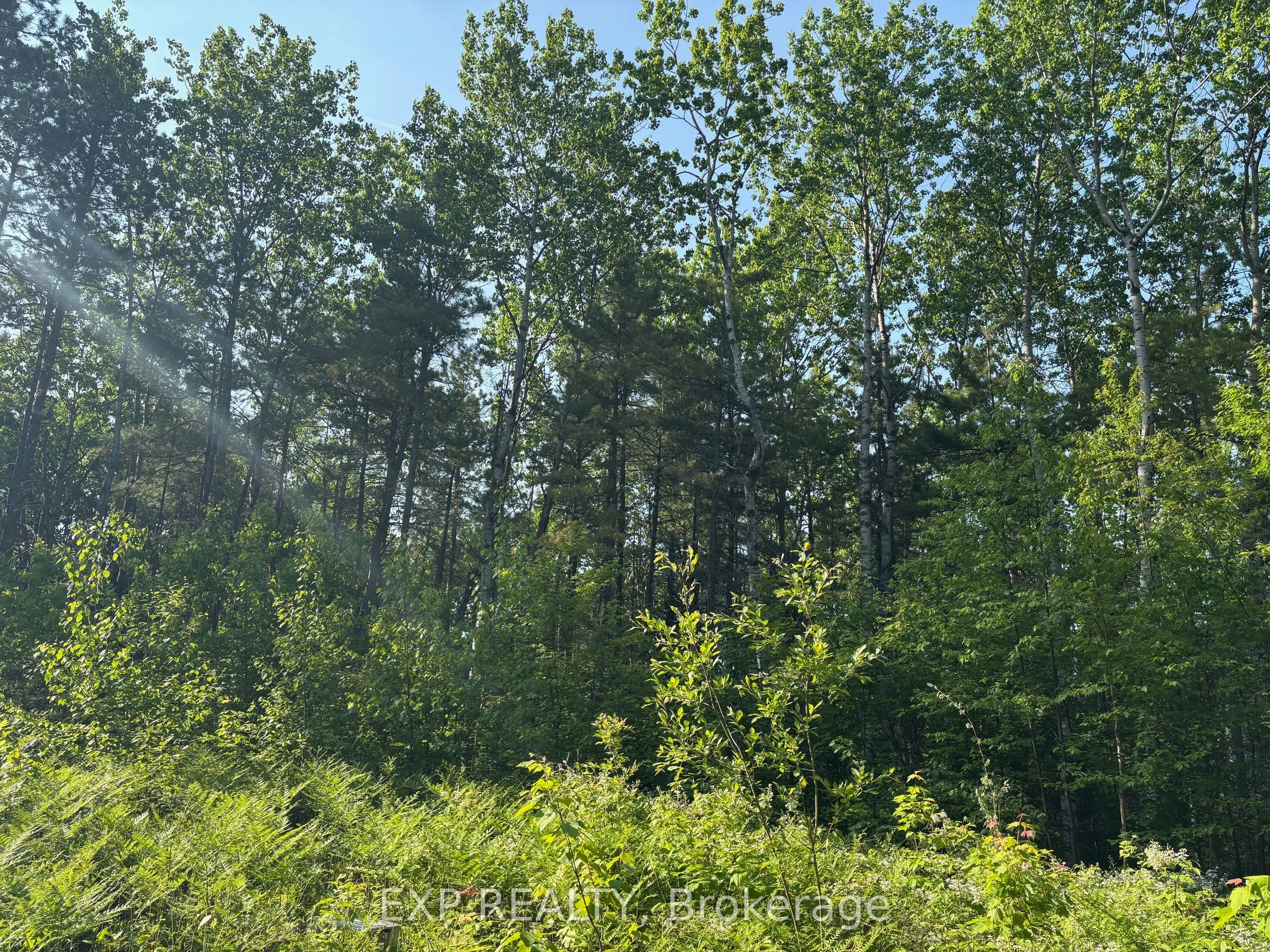 501 Arbor Vitae Road