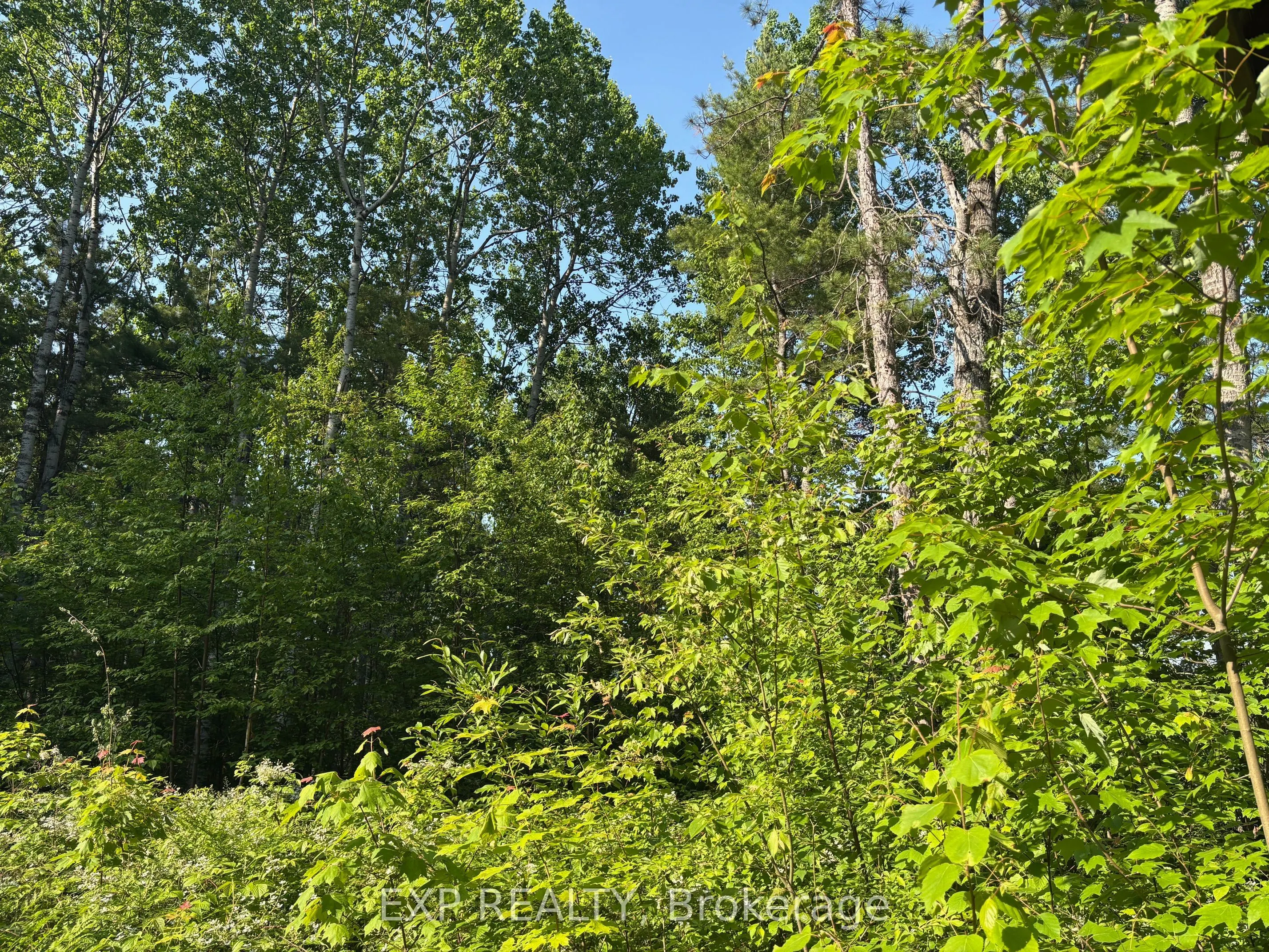 501 Arbor Vitae Road