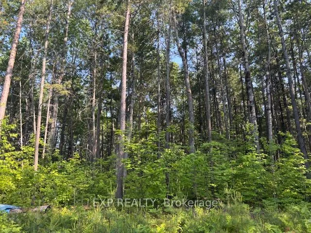 501 Arbor Vitae Road