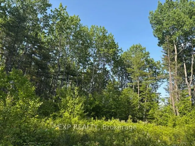 501 Arbor Vitae Road