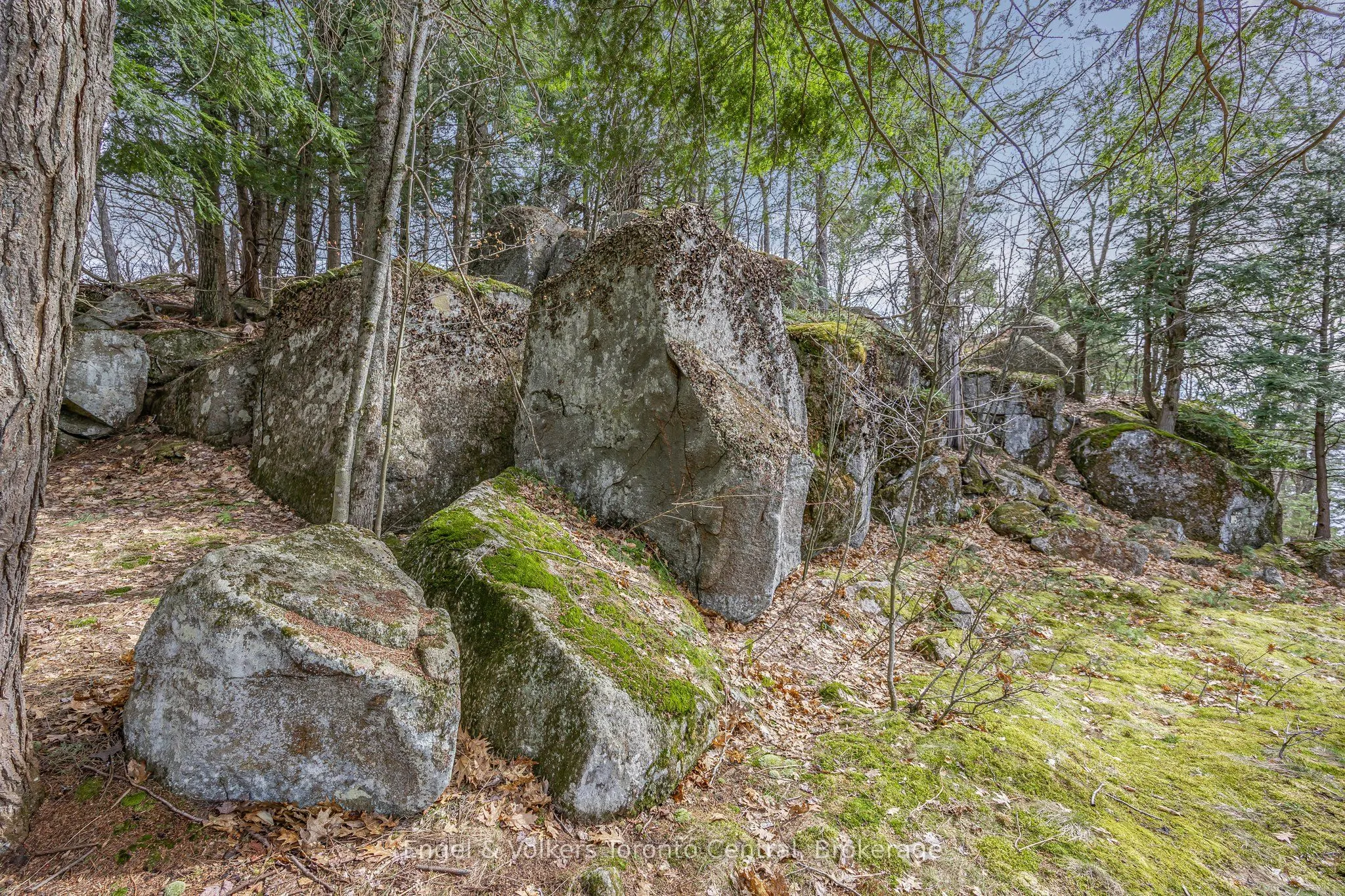2481 Falkenburg Road