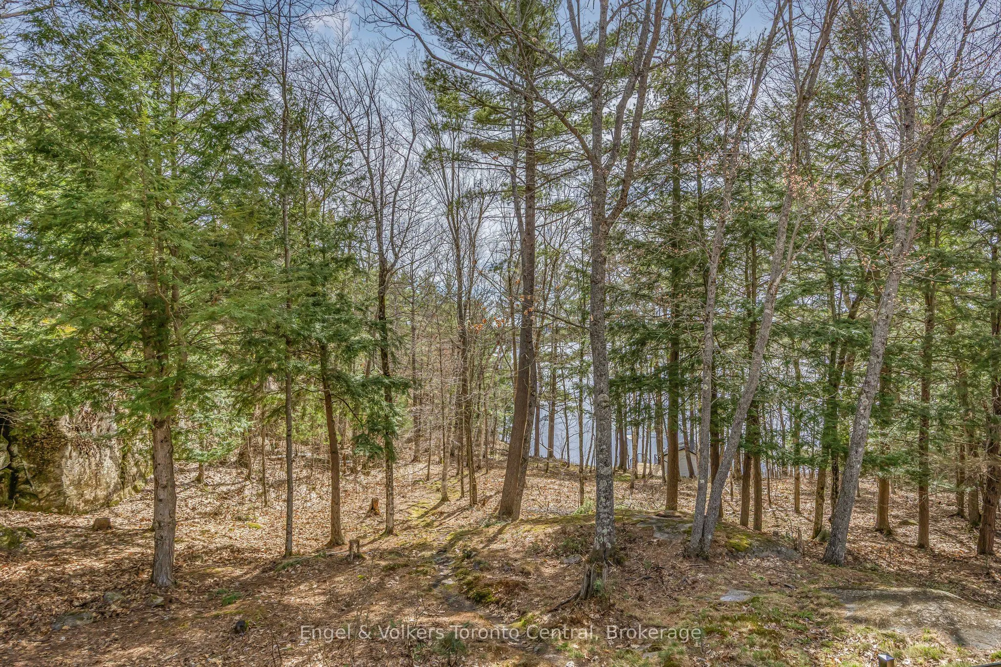 2481 Falkenburg Road