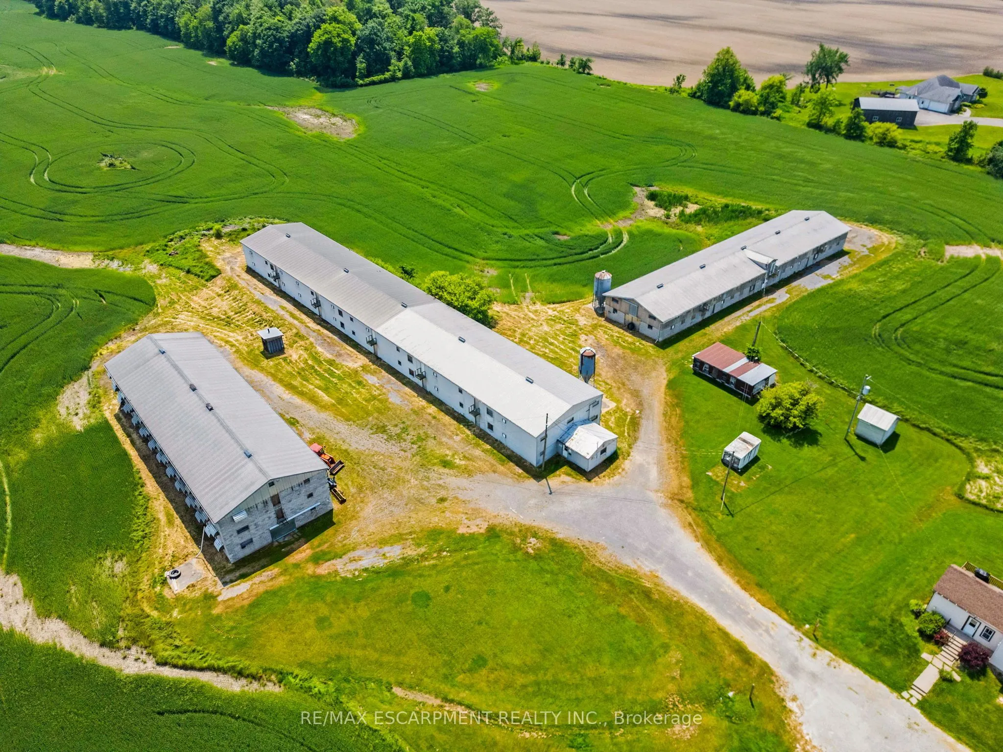 5950 Regional Road 65