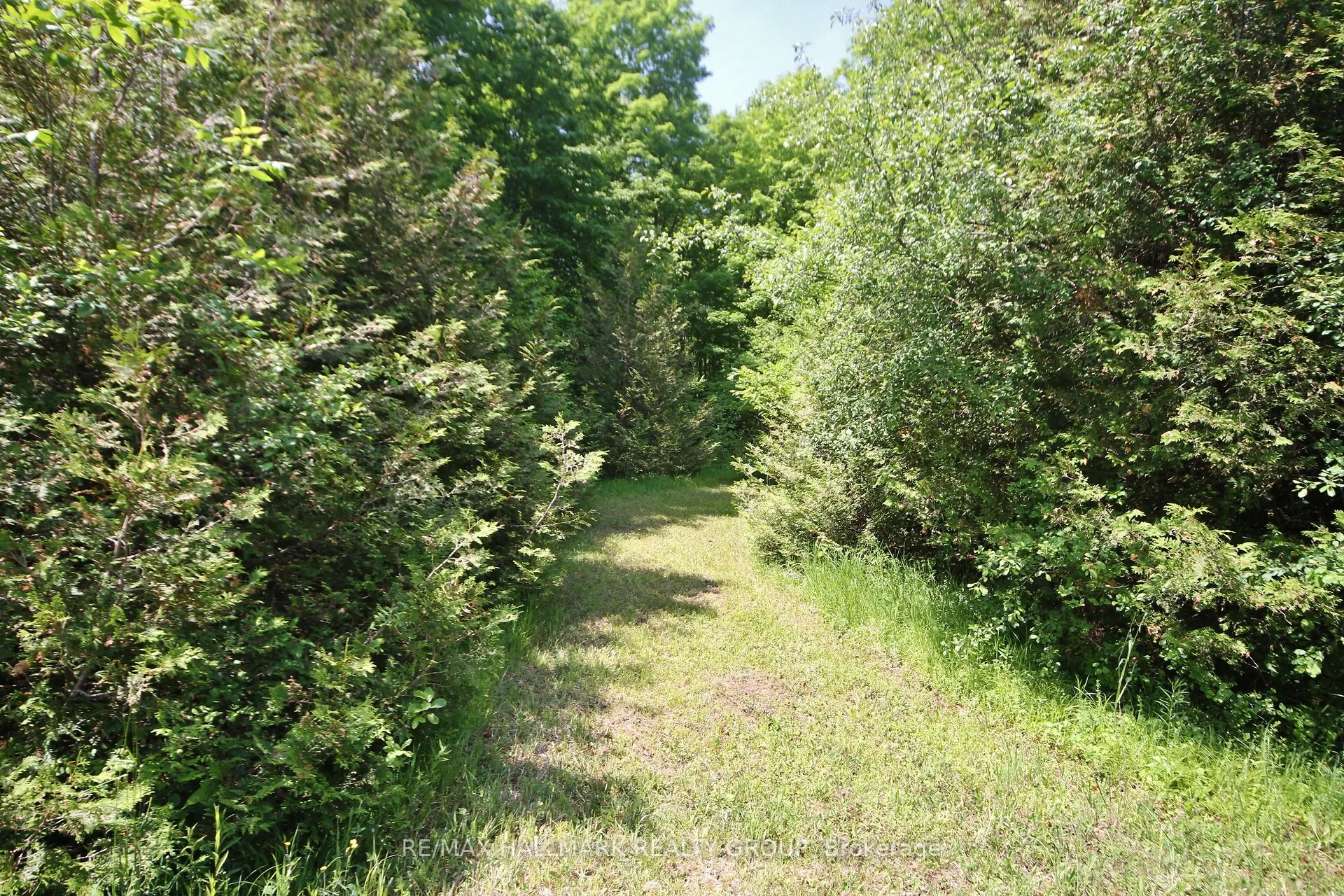 1352 County 43 Road Highway W
