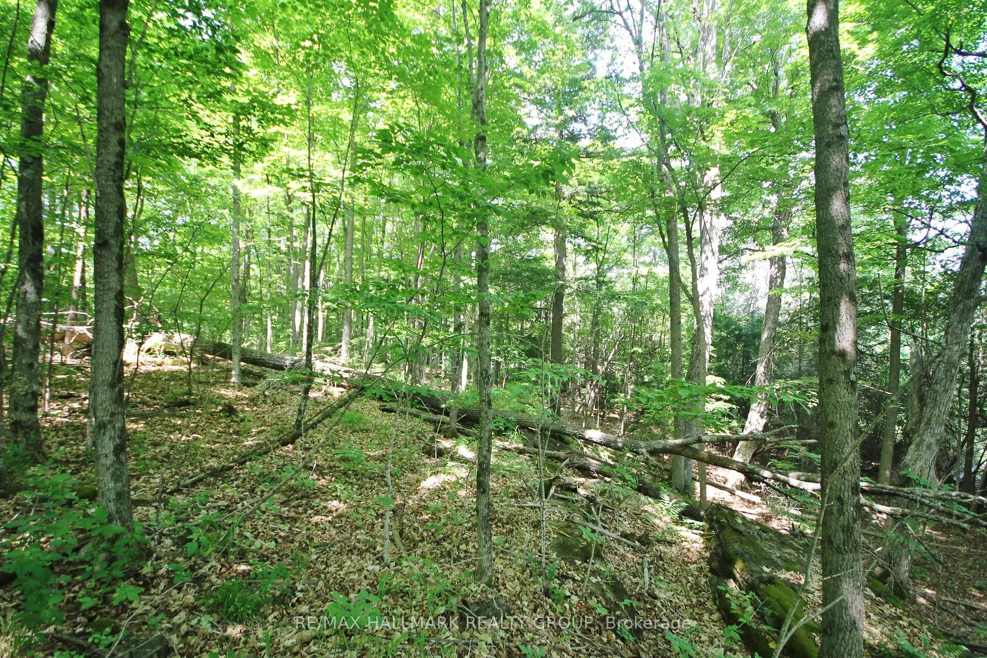 1352 County 43 Road Highway W