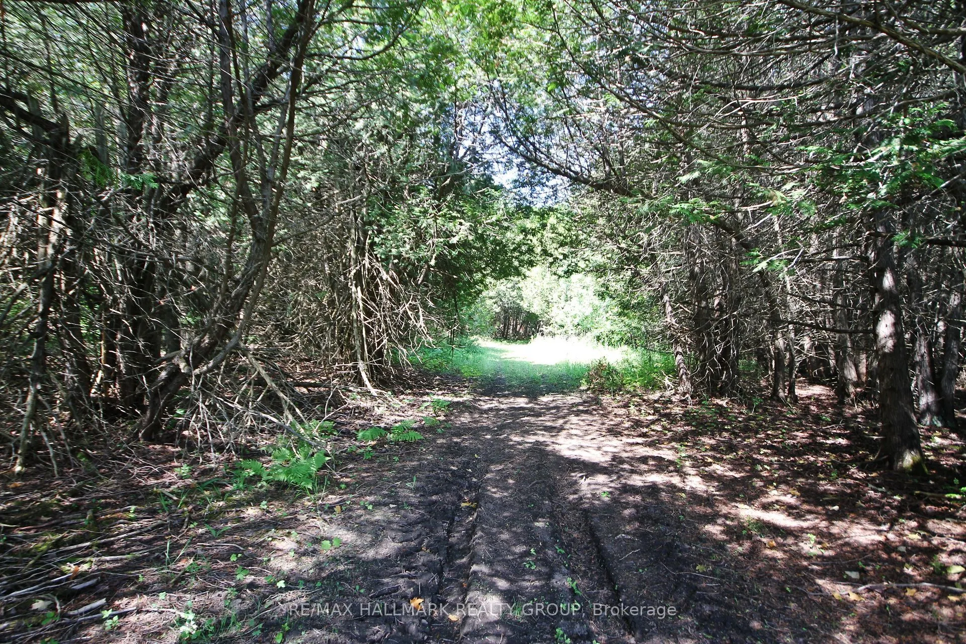 1352 County 43 Road Highway W