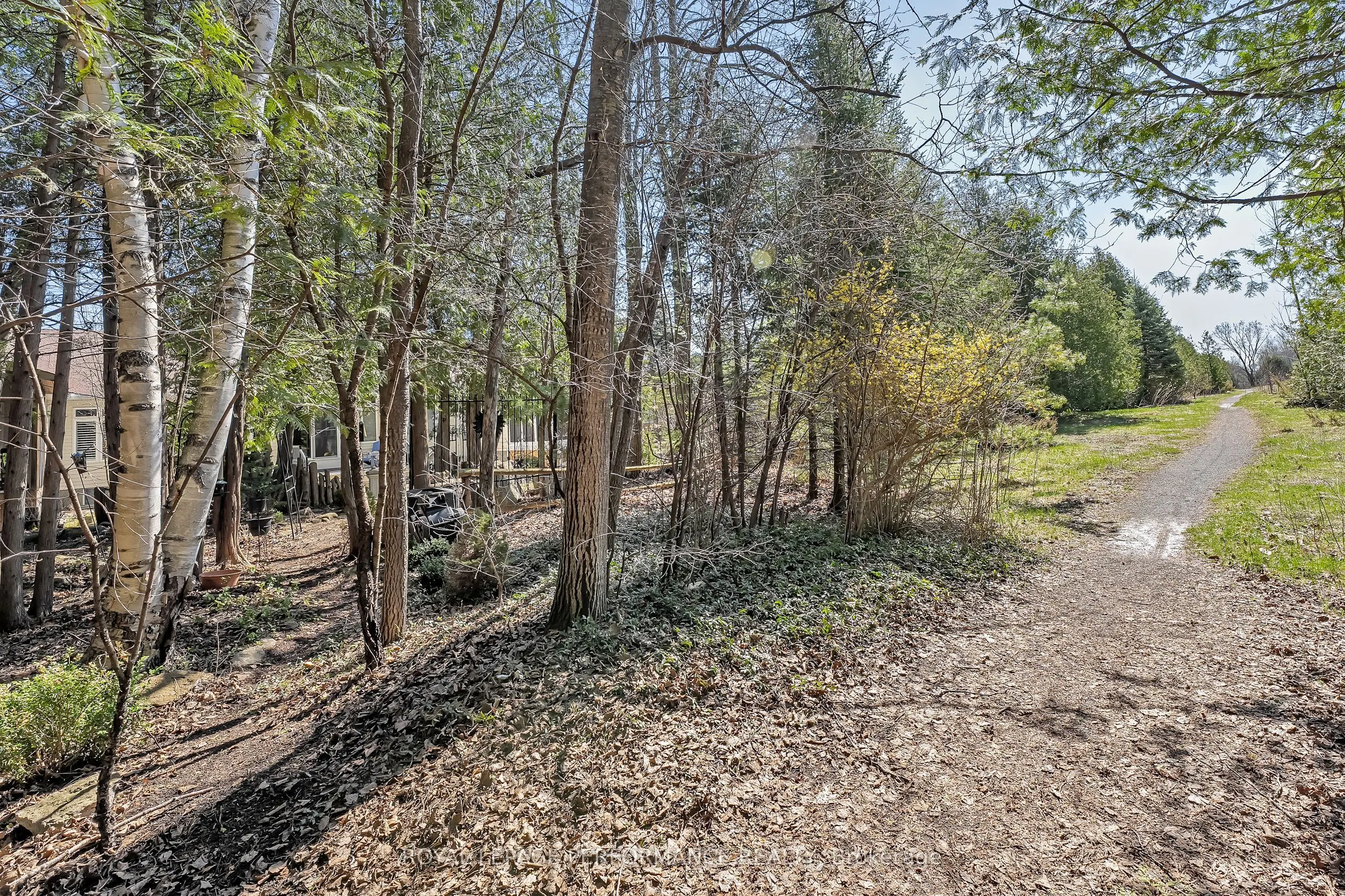45 Sable Run Drive