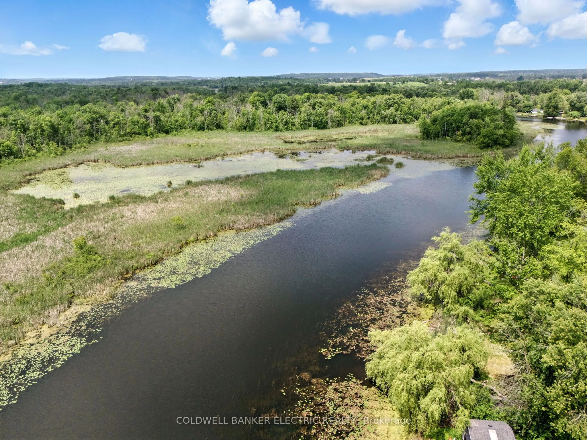 251 River Road