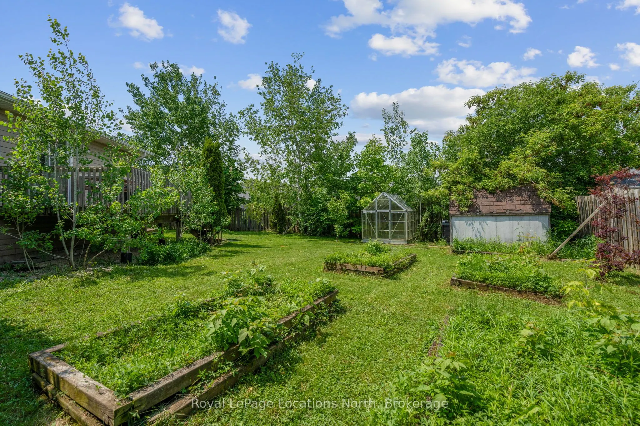 50 Birchwood Court