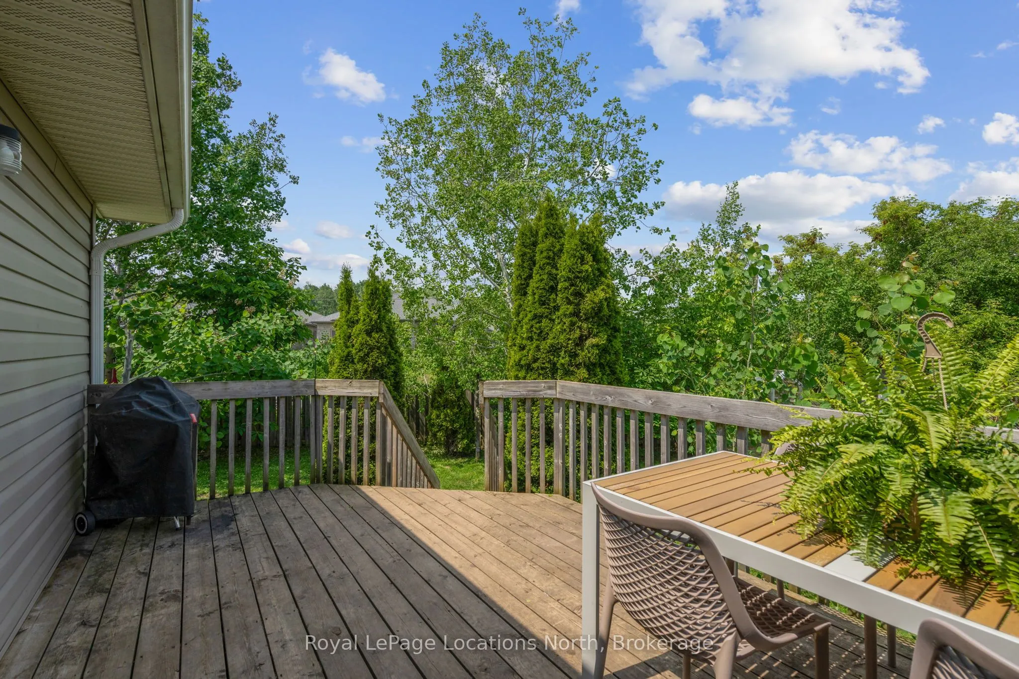 50 Birchwood Court