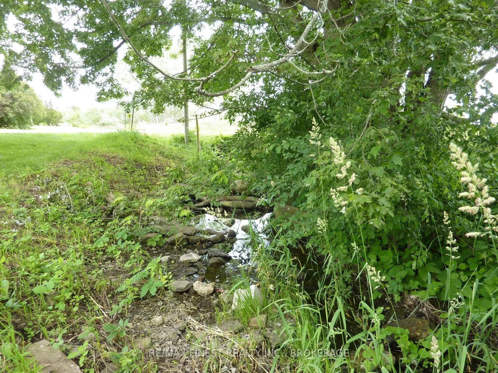2935 County Road 9