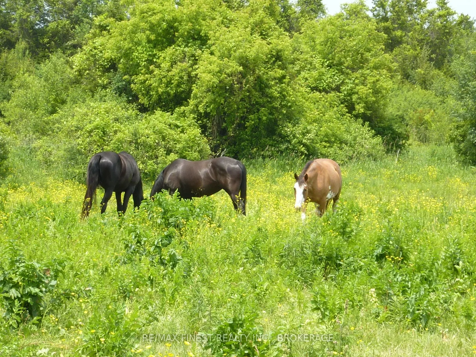 2935 County Road 9