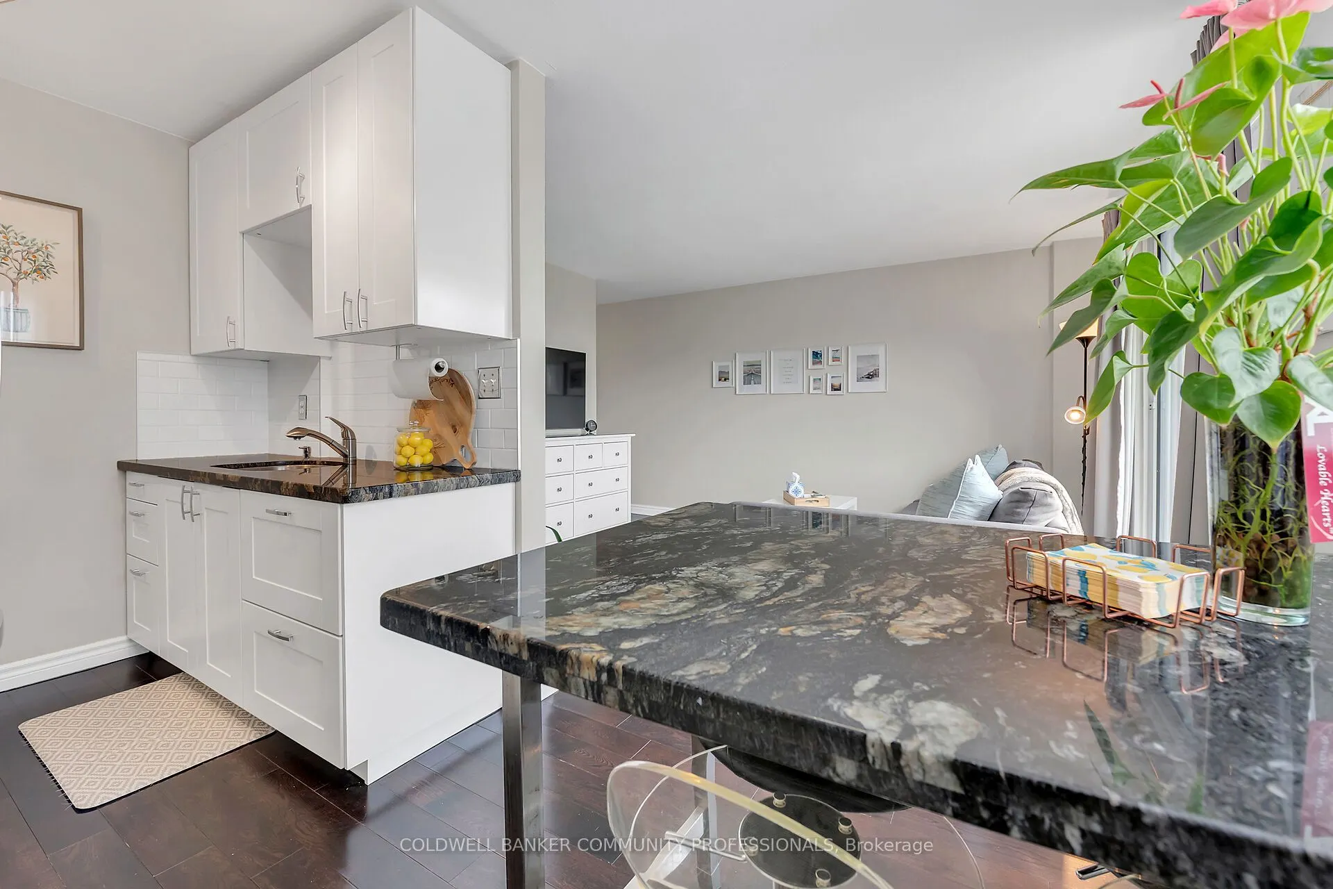 141 Catharine Street S, #806