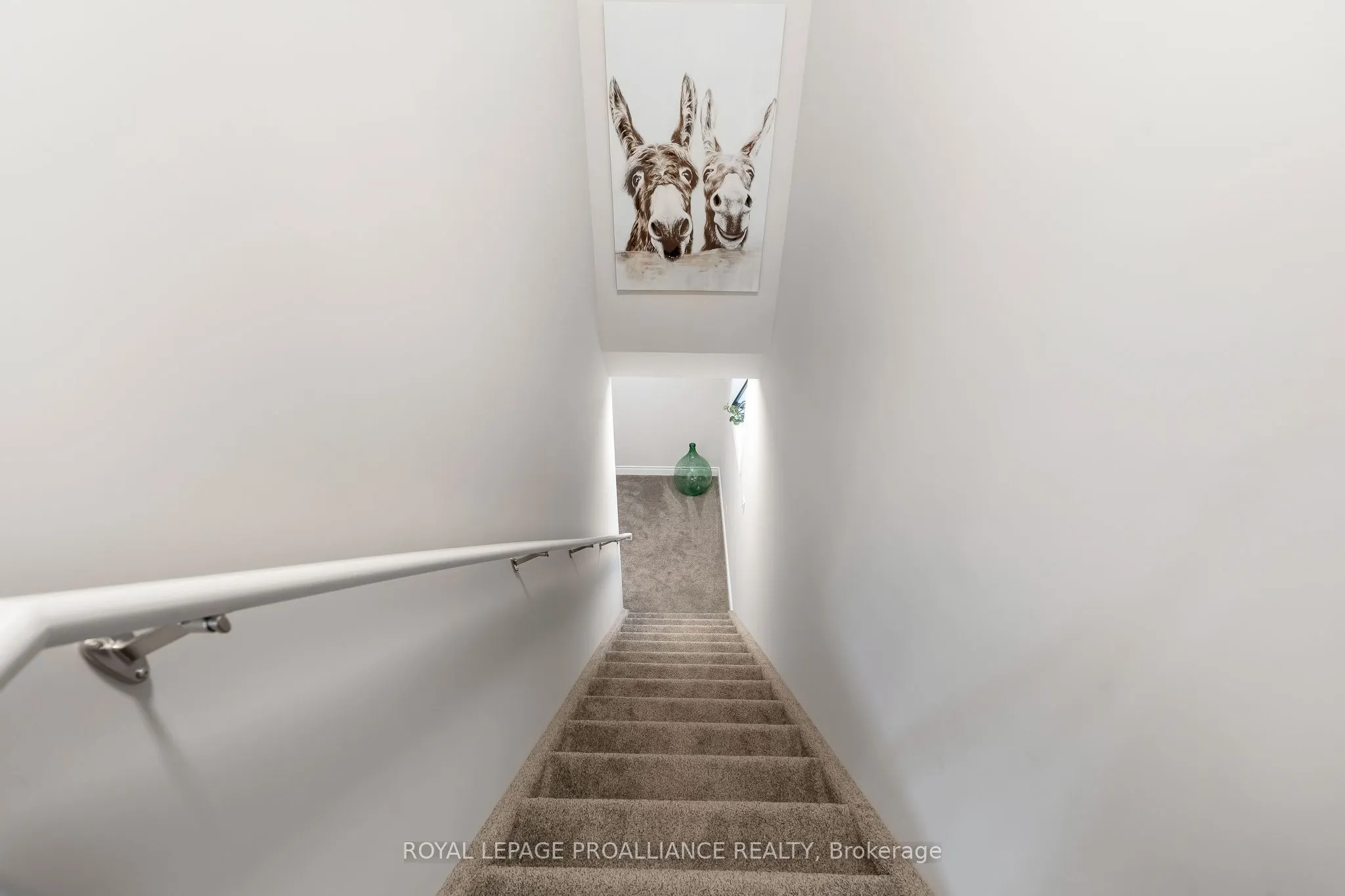 29 Rabbit Road