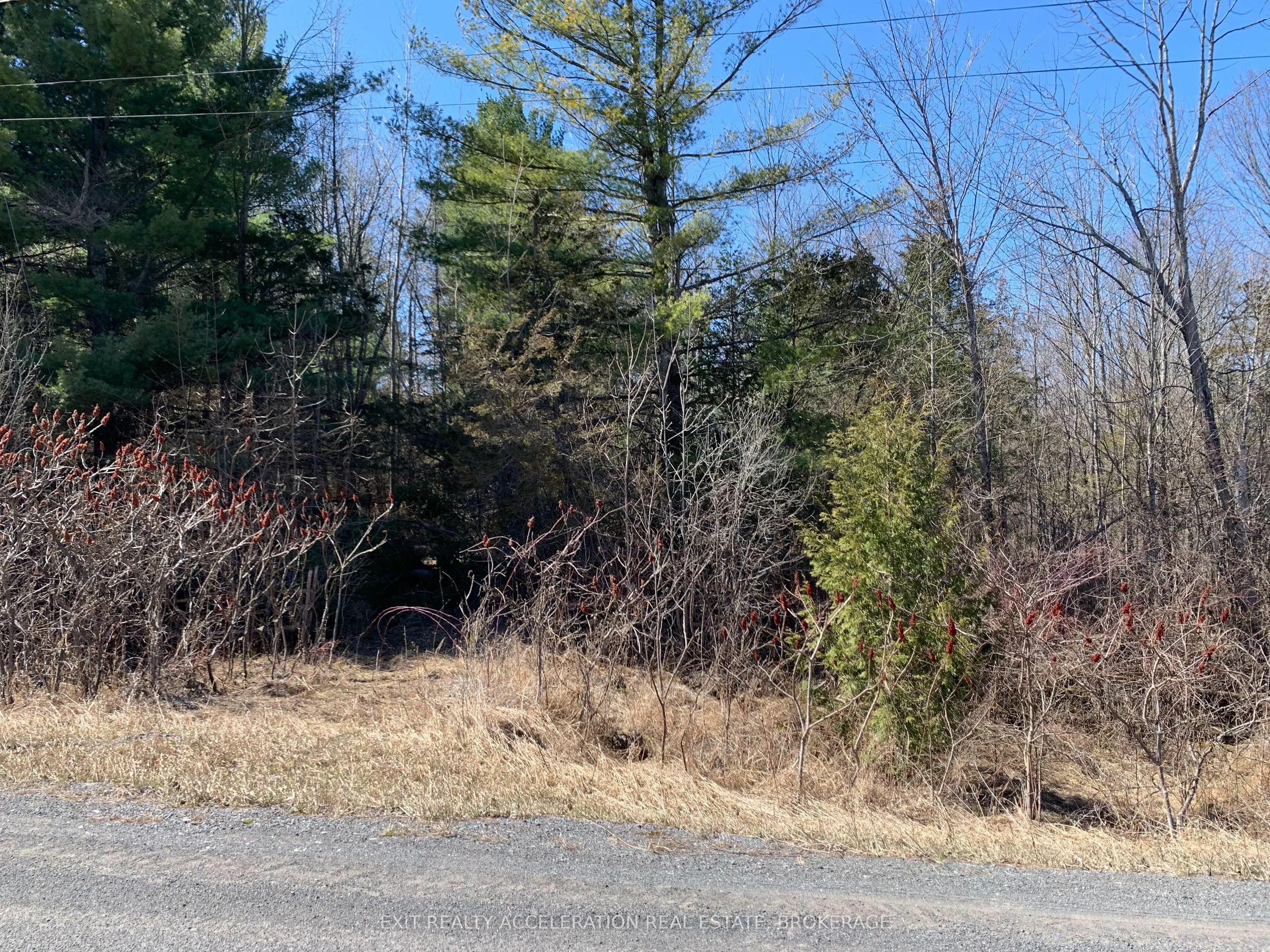 00 Con11 Pine Grove Road