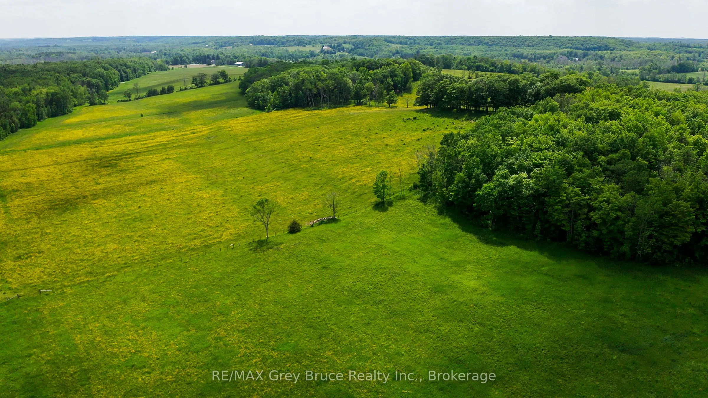 319144 Grey Road 1