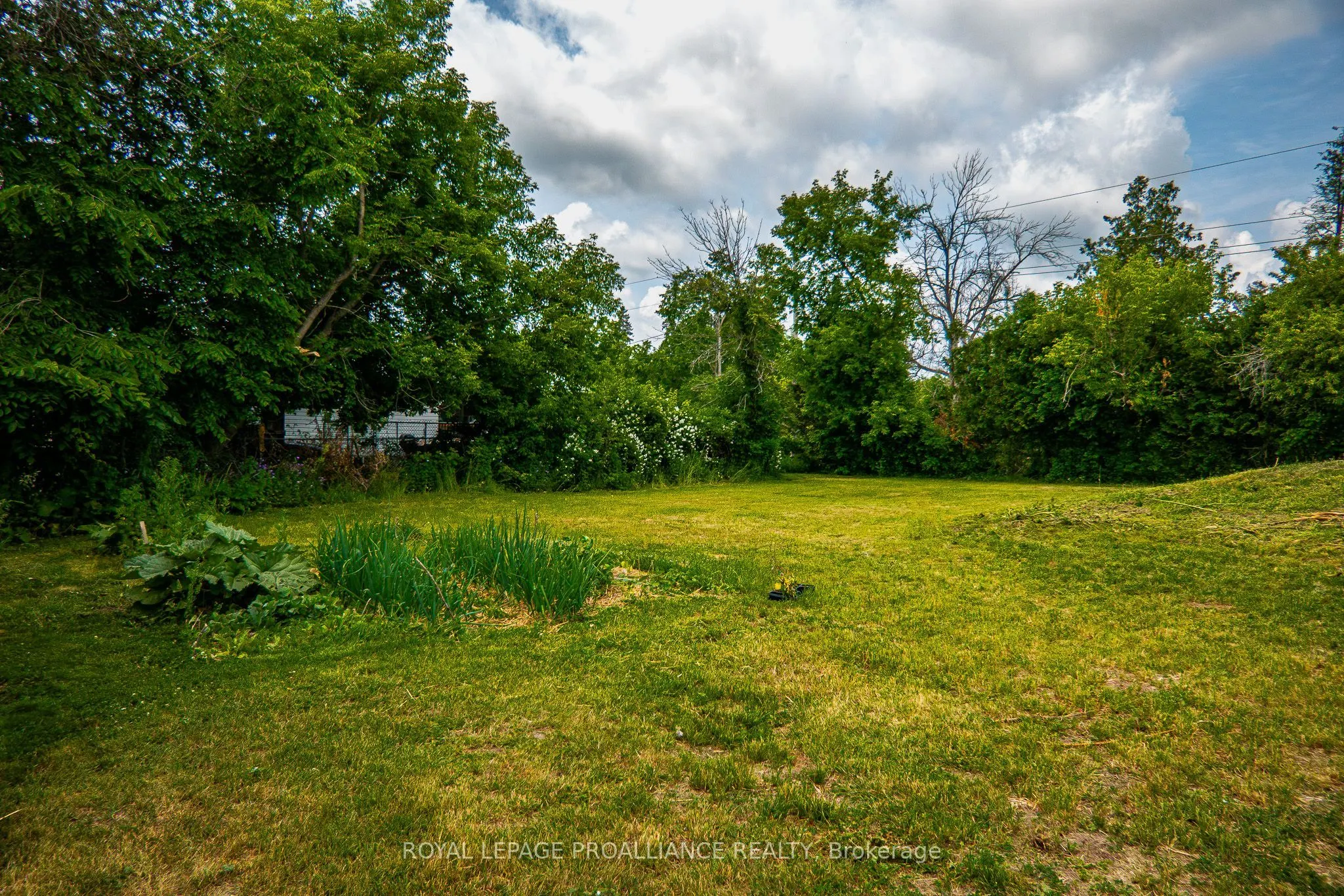 808 County Rd 12