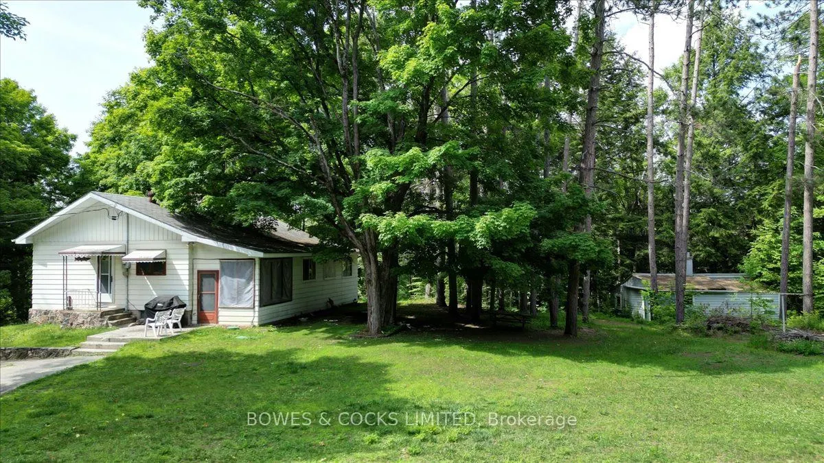 49 McFadden Road
