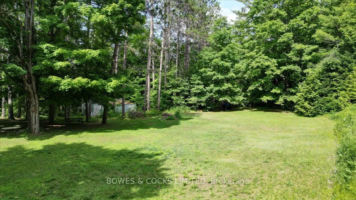 49 McFadden Road