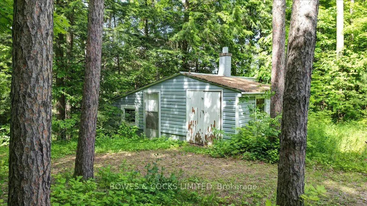 49 McFadden Road