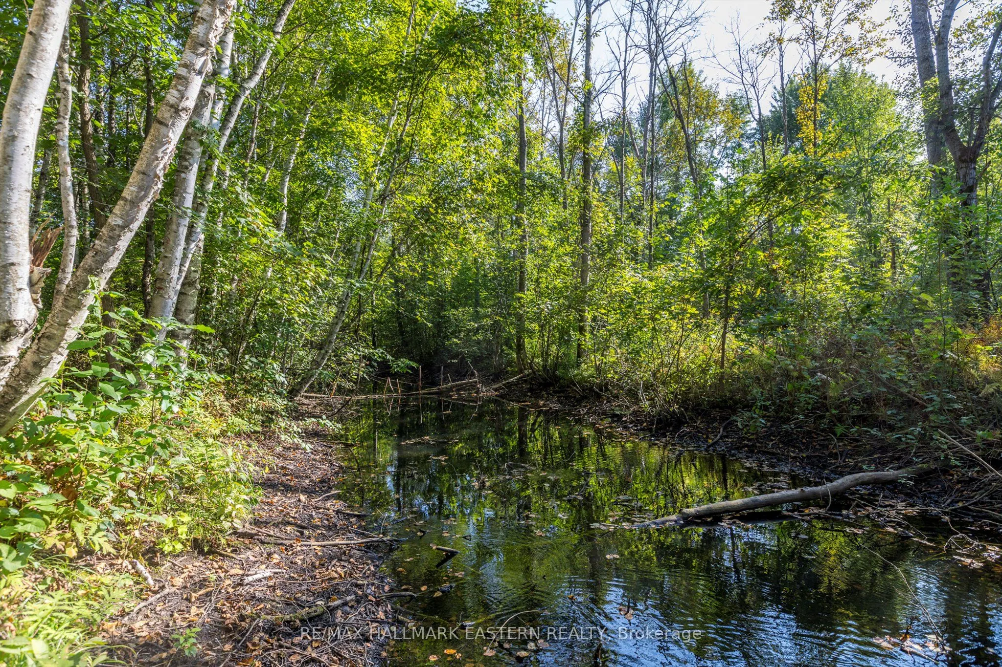 Lot 13 Trent River Road