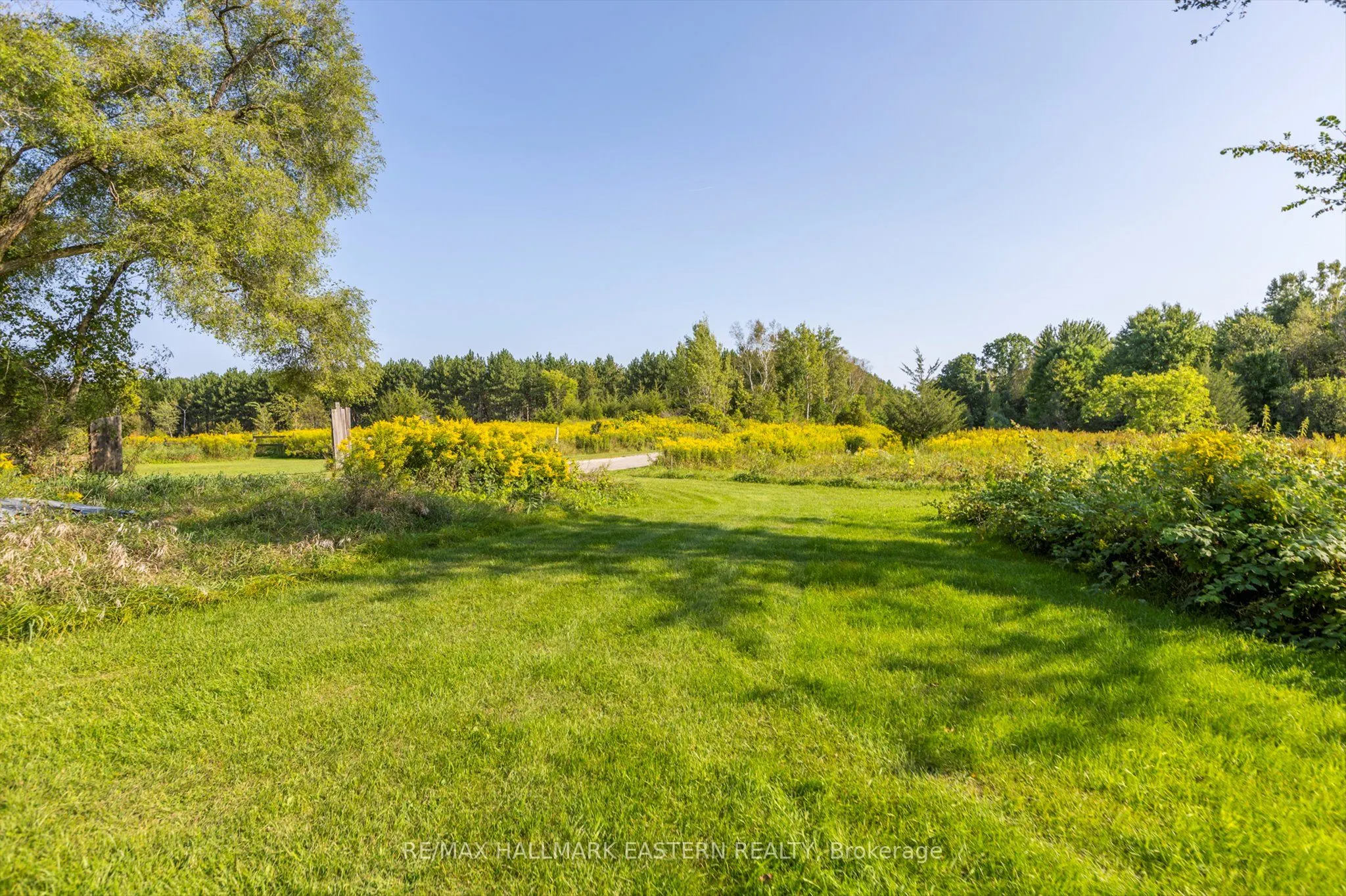 Lot 13 Trent River Road