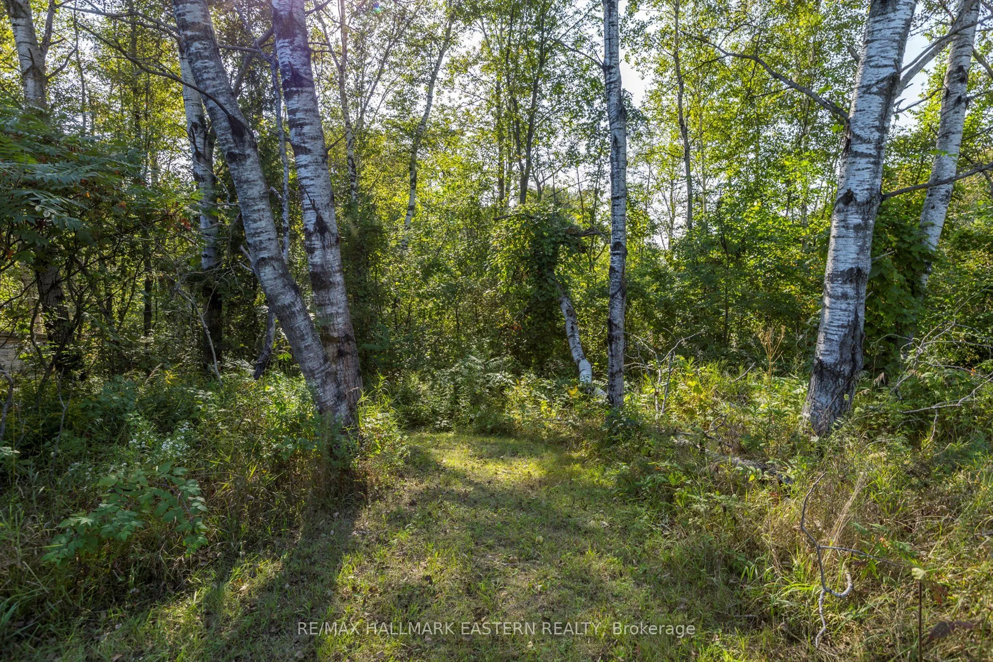 Lot 13 Trent River Road