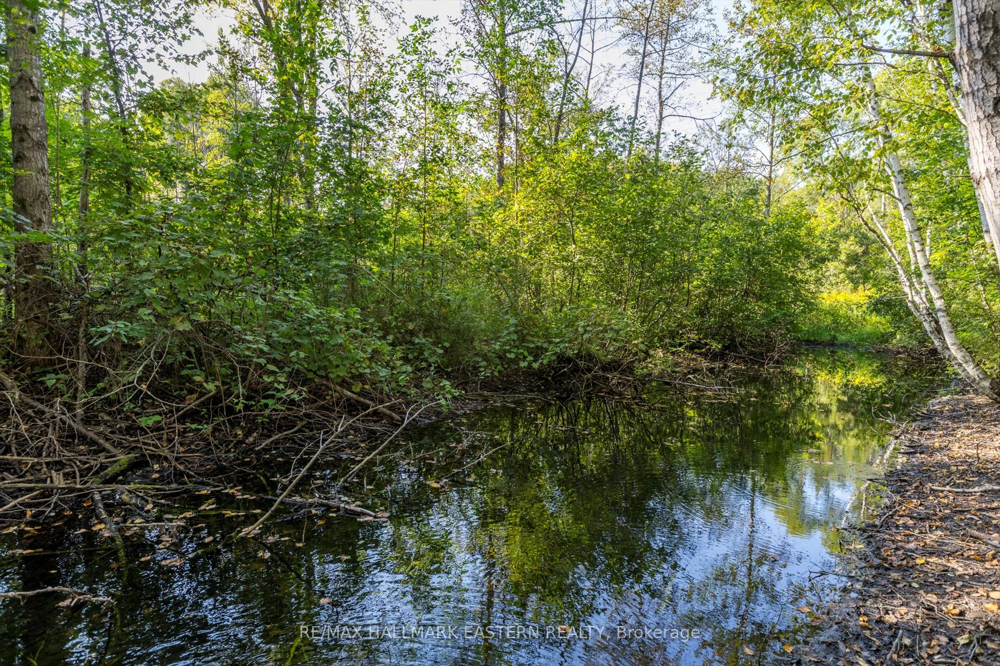 Lot 13 Trent River Road