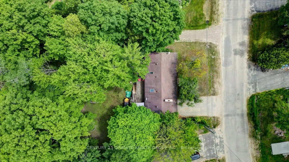22 Forest Hill Road