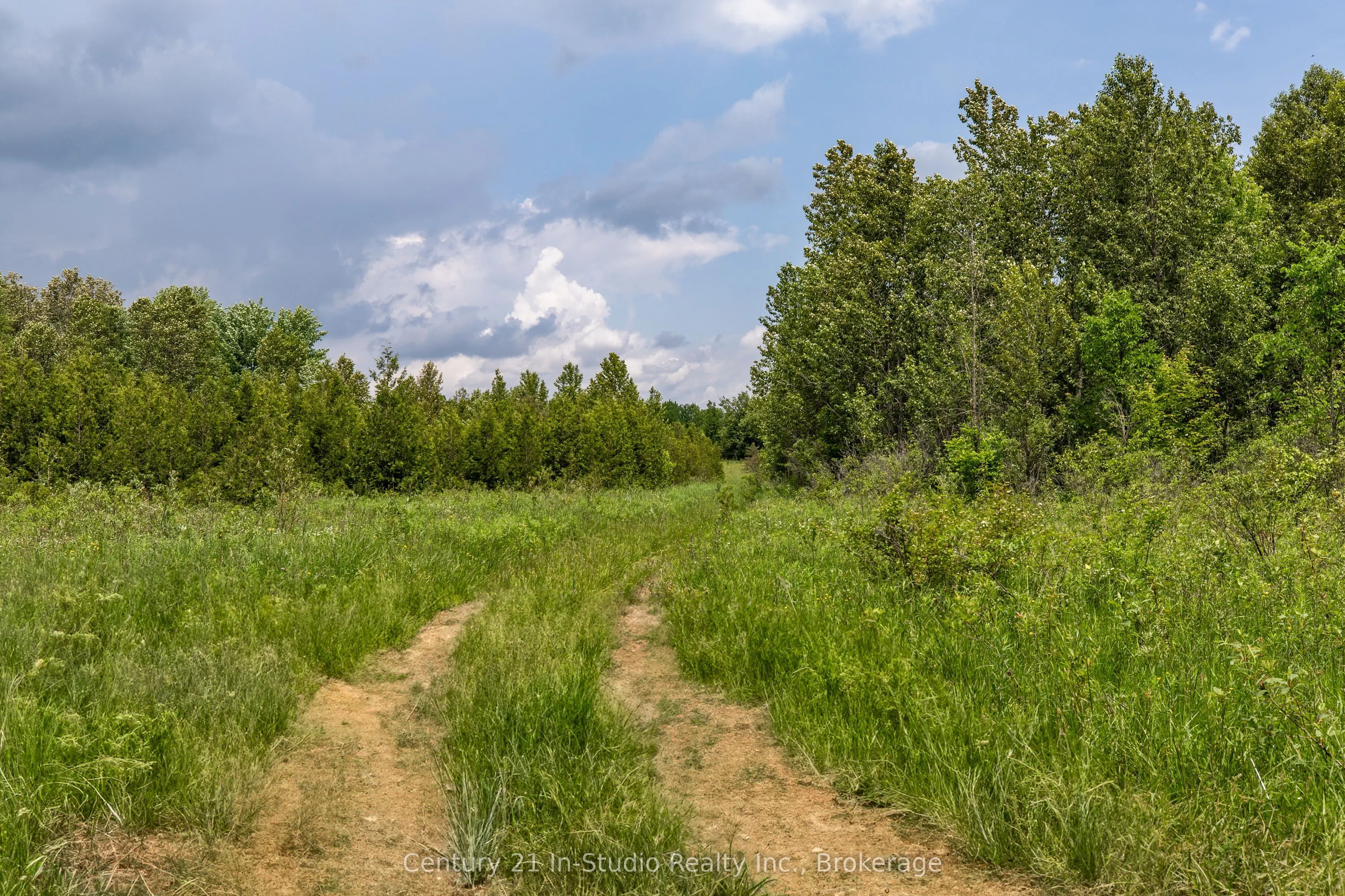 135389 Concession 8 Road