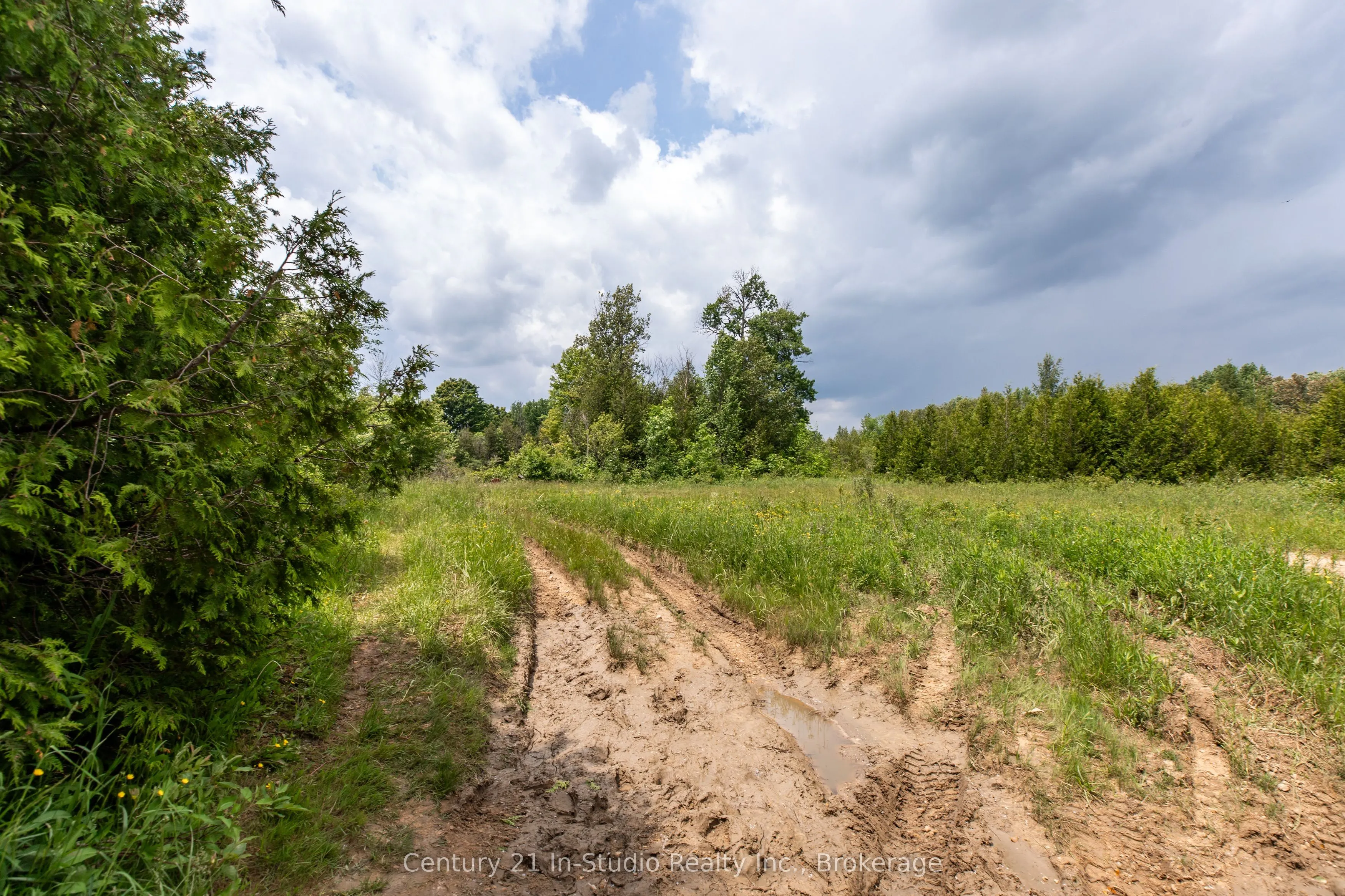 135389 Concession 8 Road